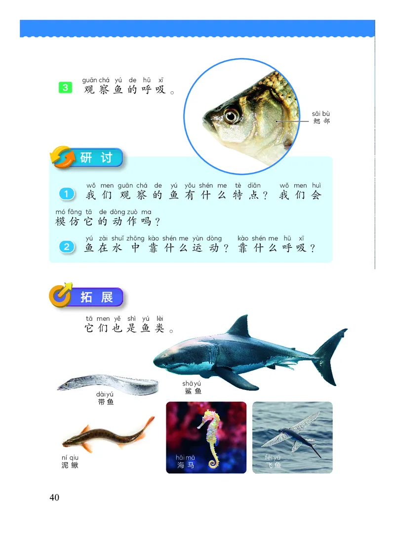 科学一下教科版（2025春）_小学全网线上同款资料_2025春新增教材合集_小学科学（2025春新教材）