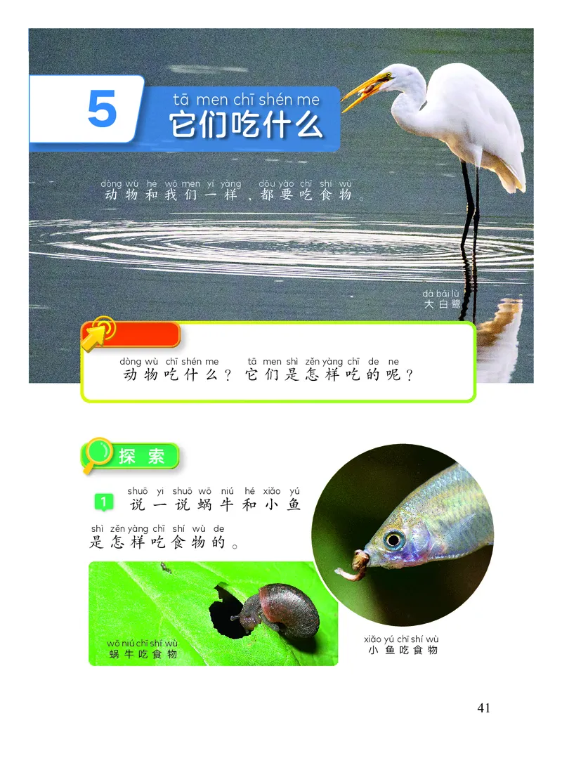 科学一下教科版（2025春）_小学全网线上同款资料_2025春新增教材合集_小学科学（2025春新教材）