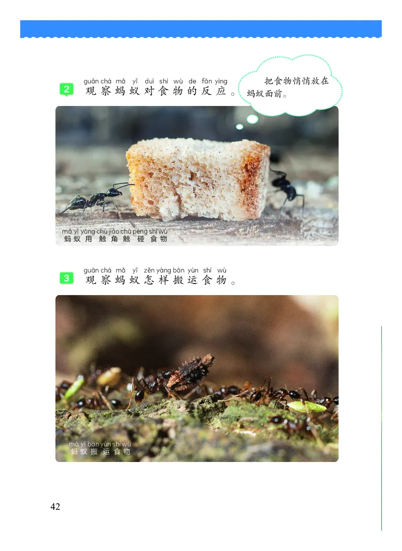 科学一下教科版（2025春）_小学全网线上同款资料_2025春新增教材合集_小学科学（2025春新教材）