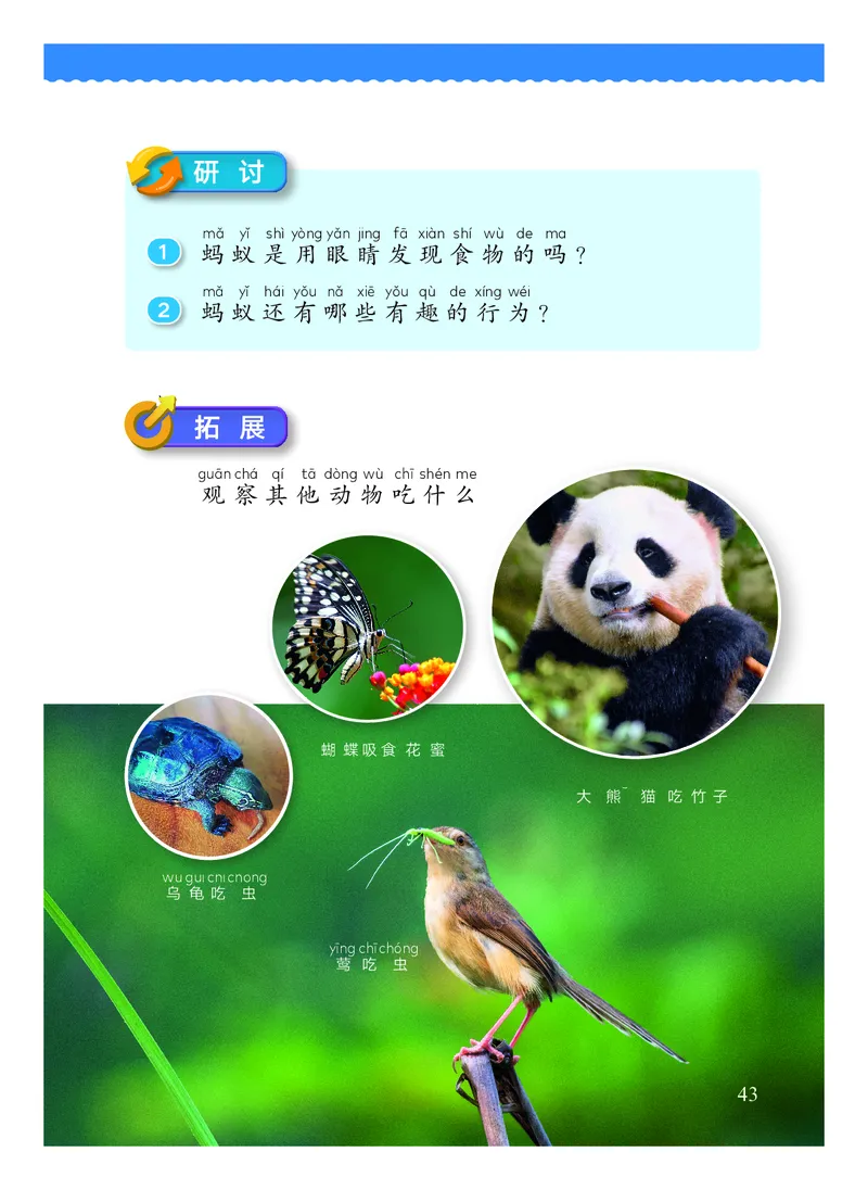 科学一下教科版（2025春）_小学全网线上同款资料_2025春新增教材合集_小学科学（2025春新教材）