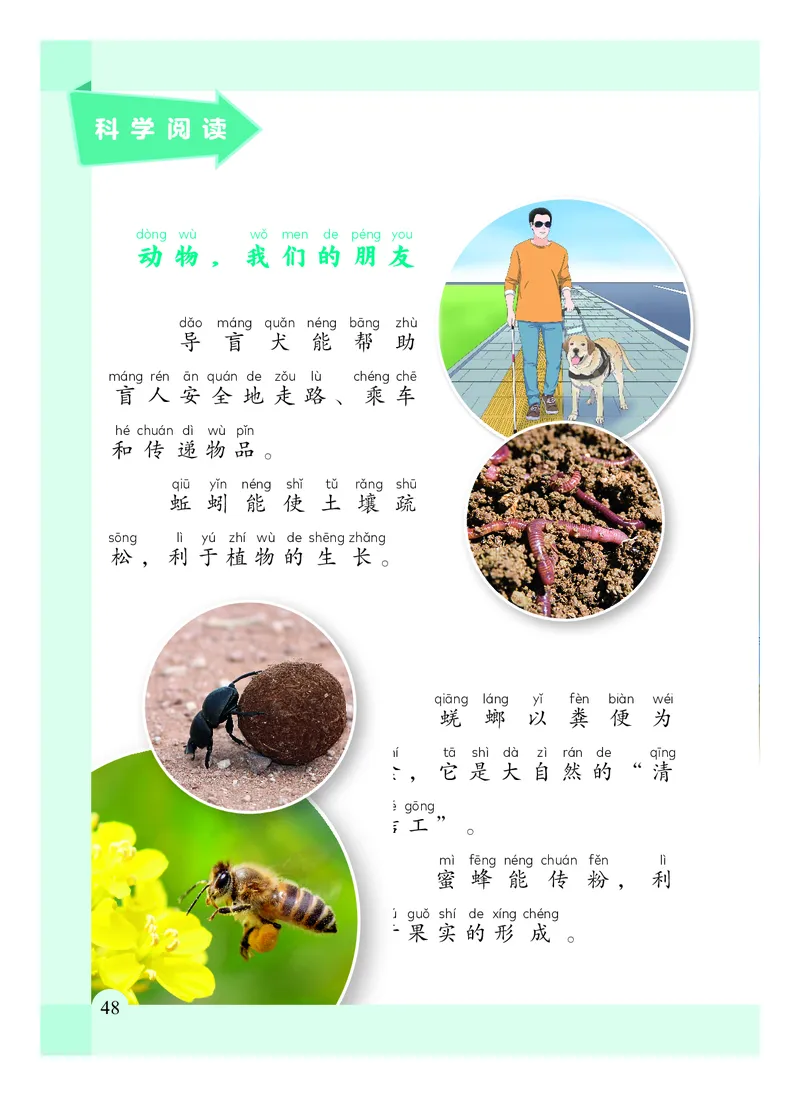 科学一下教科版（2025春）_小学全网线上同款资料_2025春新增教材合集_小学科学（2025春新教材）