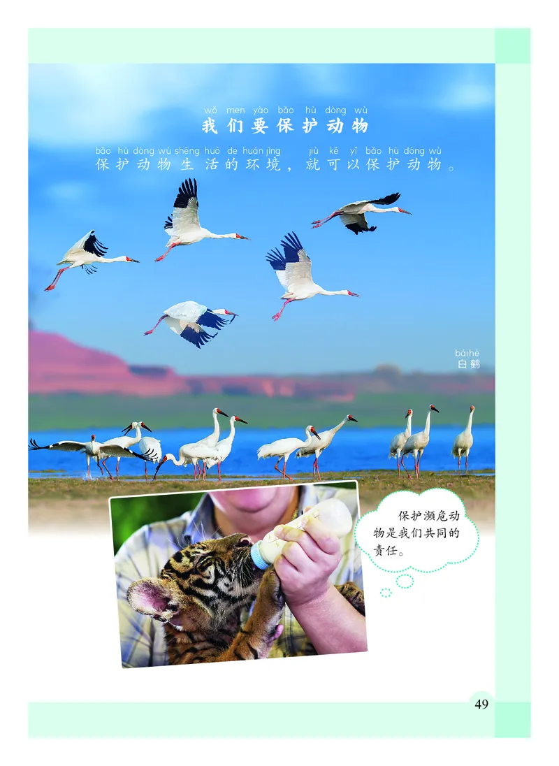 科学一下教科版（2025春）_小学全网线上同款资料_2025春新增教材合集_小学科学（2025春新教材）