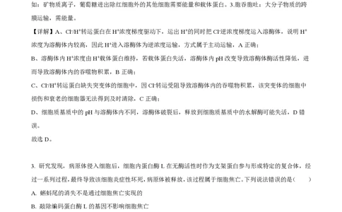 2023年高考生物试卷（山东）（解析卷）_生物历年高考真题_新&middot;PDF版2008-2025&middot;高考生物真题_生物（按省份分类）2008-2025_2008-2025&middot;（山东）生物高考真题