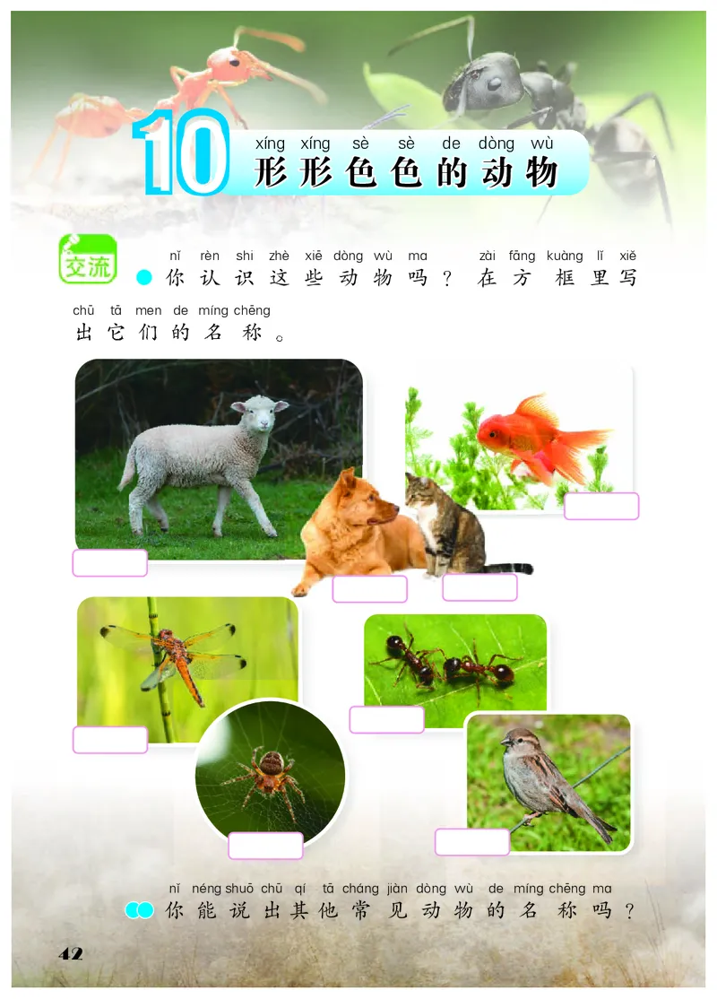 科学一下苏教版（2025春）_小学全网线上同款资料_2025春新增教材合集_小学科学（2025春新教材）