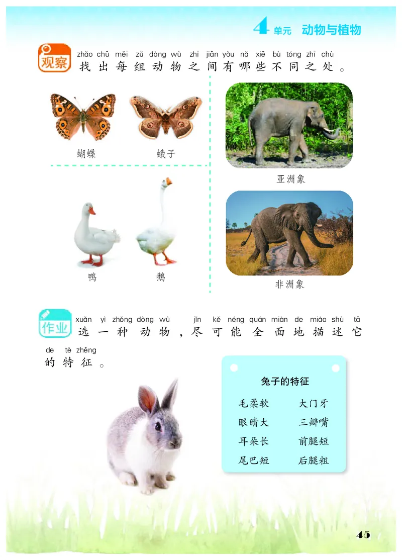科学一下苏教版（2025春）_小学全网线上同款资料_2025春新增教材合集_小学科学（2025春新教材）