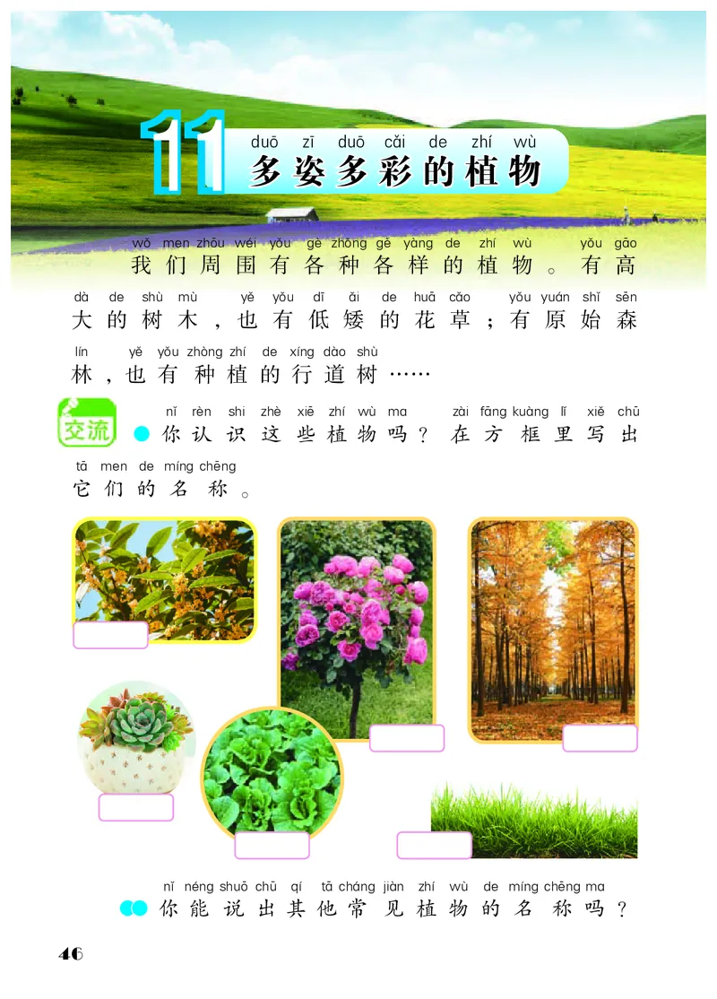 科学一下苏教版（2025春）_小学全网线上同款资料_2025春新增教材合集_小学科学（2025春新教材）