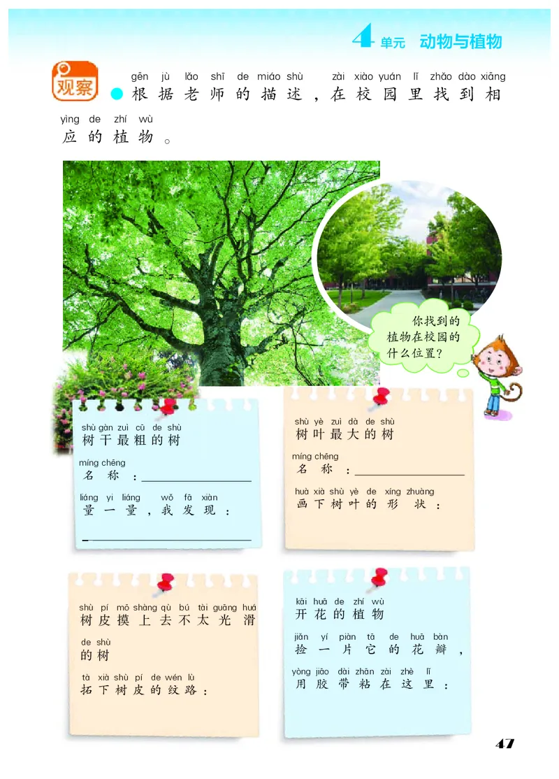 科学一下苏教版（2025春）_小学全网线上同款资料_2025春新增教材合集_小学科学（2025春新教材）