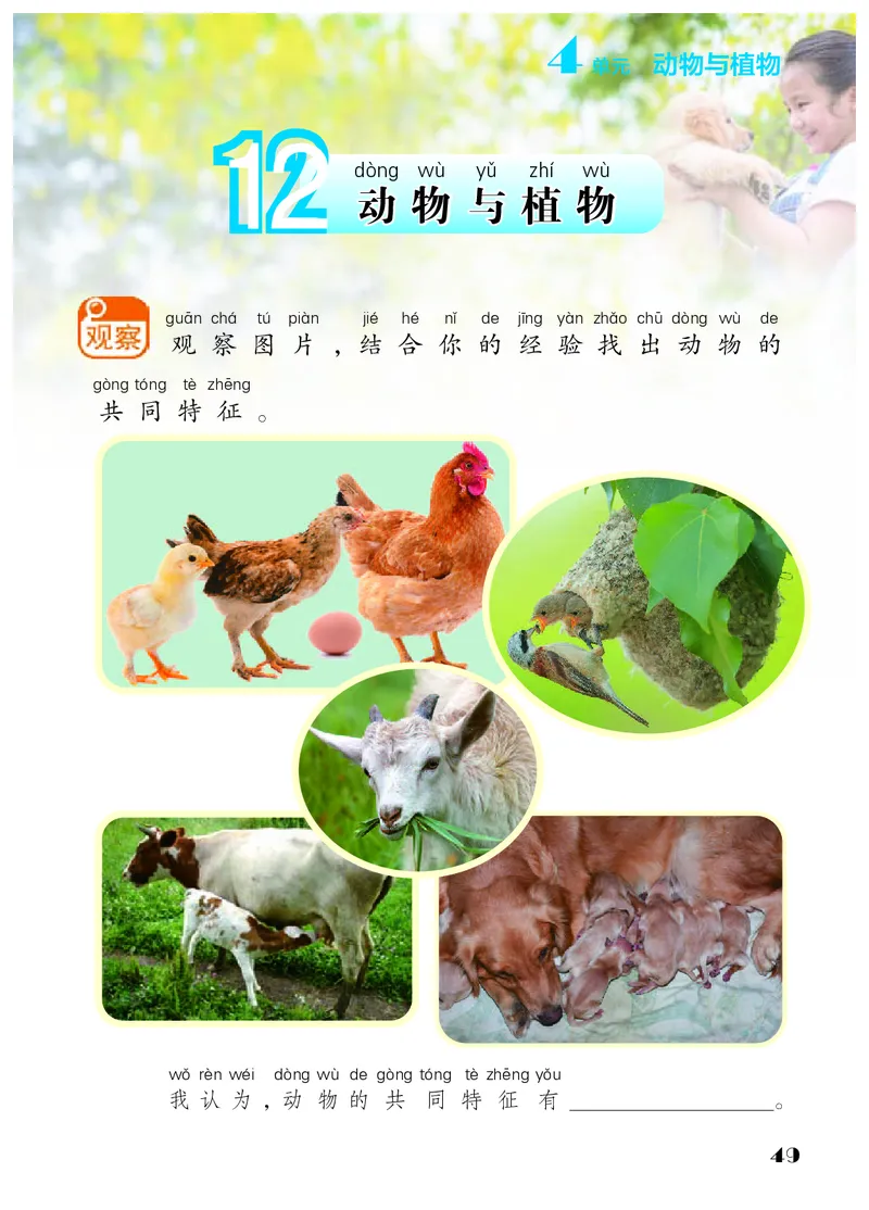 科学一下苏教版（2025春）_小学全网线上同款资料_2025春新增教材合集_小学科学（2025春新教材）