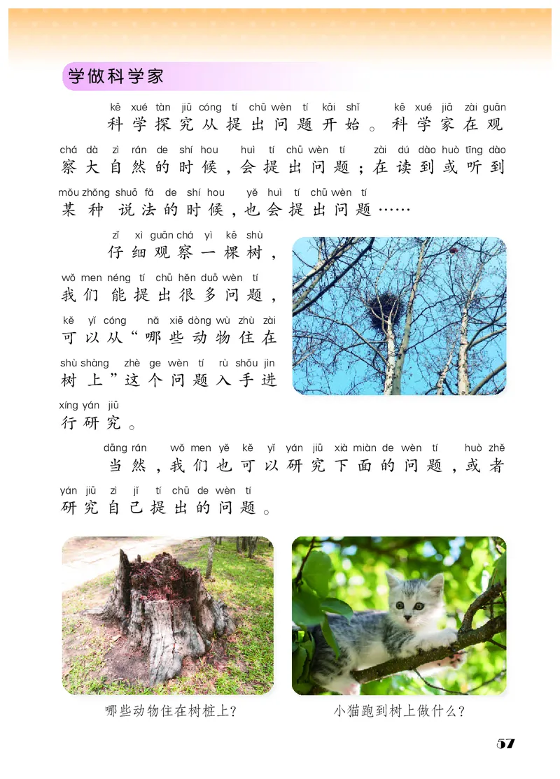 科学一下苏教版（2025春）_小学全网线上同款资料_2025春新增教材合集_小学科学（2025春新教材）