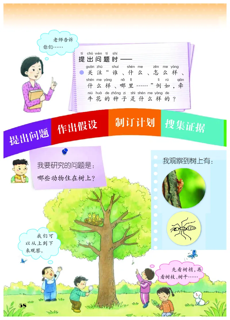 科学一下苏教版（2025春）_小学全网线上同款资料_2025春新增教材合集_小学科学（2025春新教材）