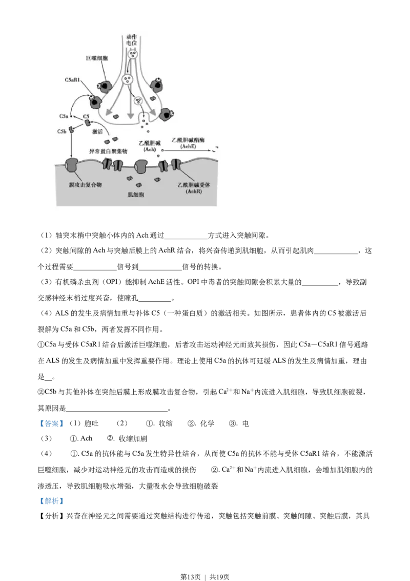 2022年高考生物真题（海南）（解析卷）_生物历年高考真题_新&middot;Word版2008-2025&middot;高考生物真题_生物（按省份分类）2008-2025_2008-2024&middot;（海南）生物高考真题