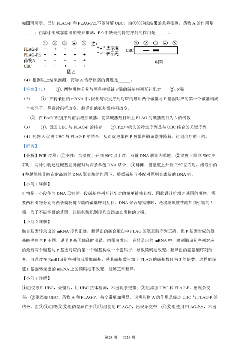 2022年高考生物试卷（山东）（解析卷）_生物历年高考真题_新&middot;PDF版2008-2025&middot;高考生物真题_生物（按年份分类）2008-2025_2022&middot;高考生物真题