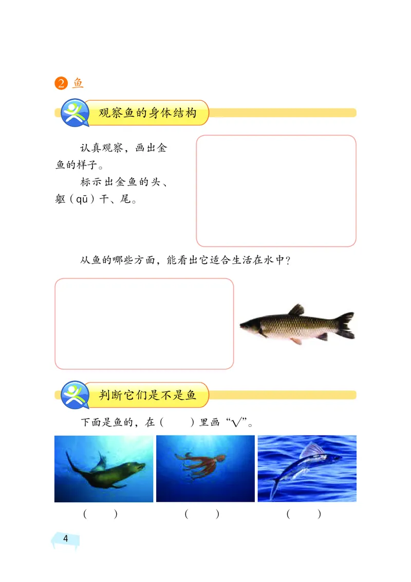 湘科版3年级科学上册活动手册_全部版本&bull;小学科学电子课本_湘科版小学科学电子课本