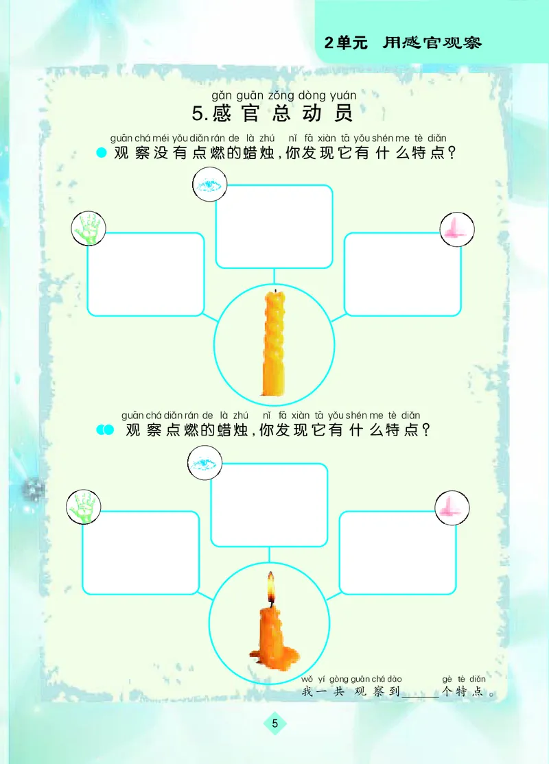 苏教版1年级科学上册活动手册_全部版本&bull;小学科学电子课本_苏教版小学科学电子课本