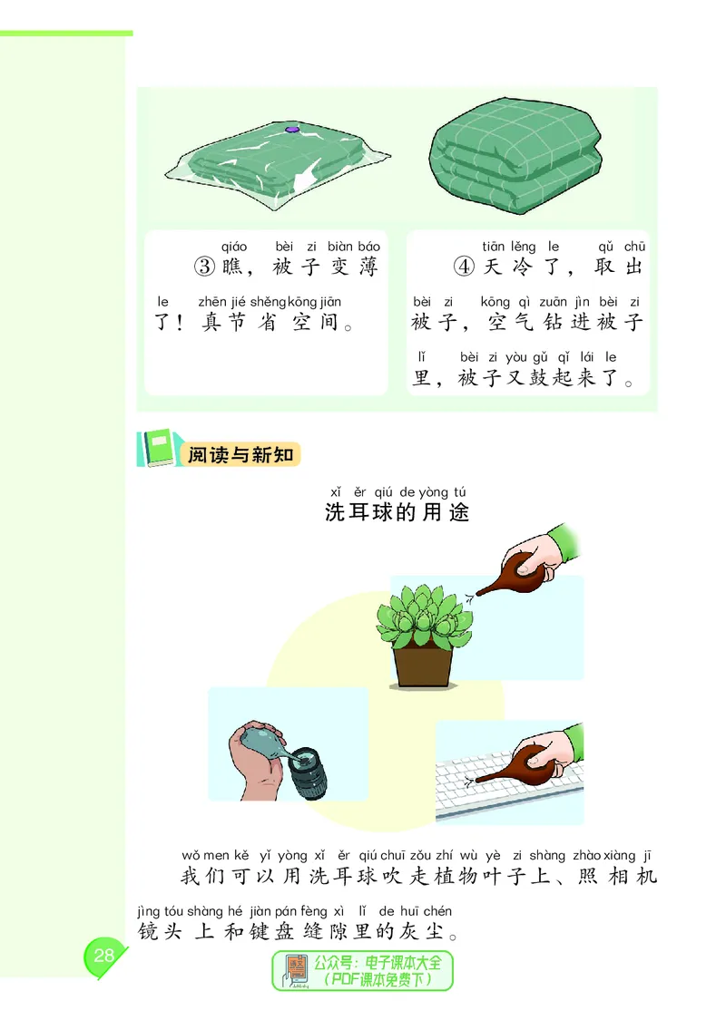 科学一下大象版（2025春）_小学全网线上同款资料_2025春新增教材合集_小学科学（2025春新教材）