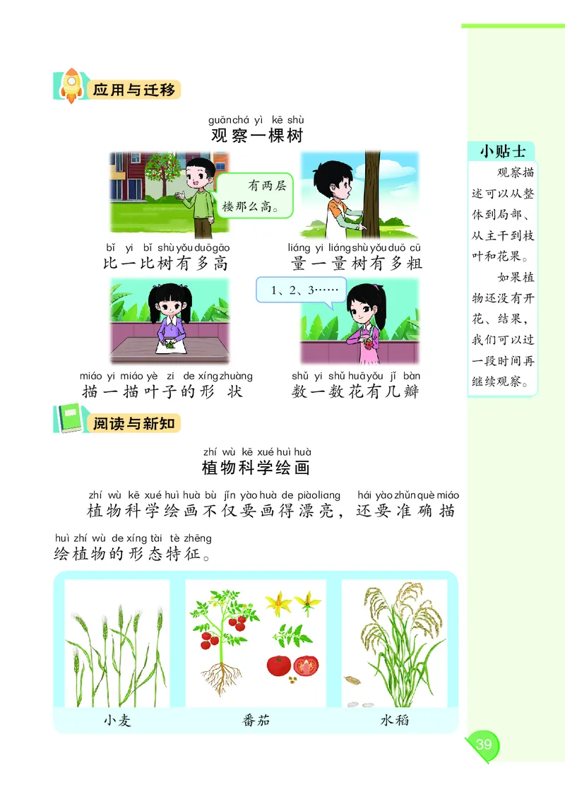 科学一下大象版（2025春）_小学全网线上同款资料_2025春新增教材合集_小学科学（2025春新教材）