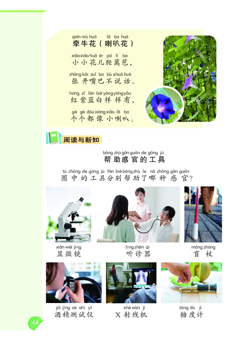 科学一下大象版（2025春）_小学全网线上同款资料_2025春新增教材合集_小学科学（2025春新教材）