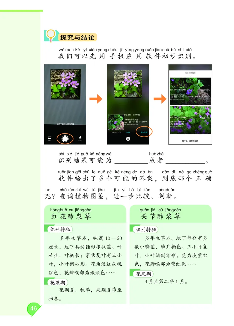 科学一下大象版（2025春）_小学全网线上同款资料_2025春新增教材合集_小学科学（2025春新教材）
