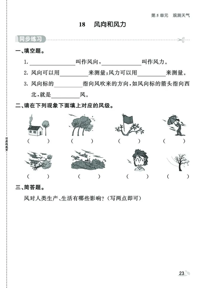 《七彩课堂》同步练习-科学3年级下册（苏教版）_三年级上下册资料_小学三年级学习资料-25年更新版_3-10、小学三年级科学下册_苏教版_电子册类