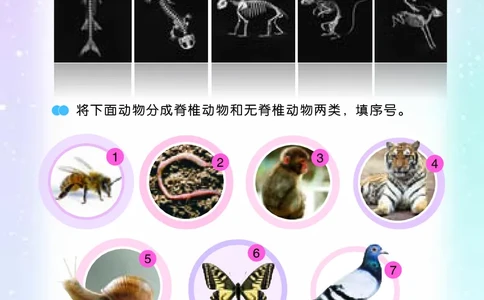 苏教版4年级科学上册活动手册_全部版本&bull;小学科学电子课本_苏教版小学科学电子课本