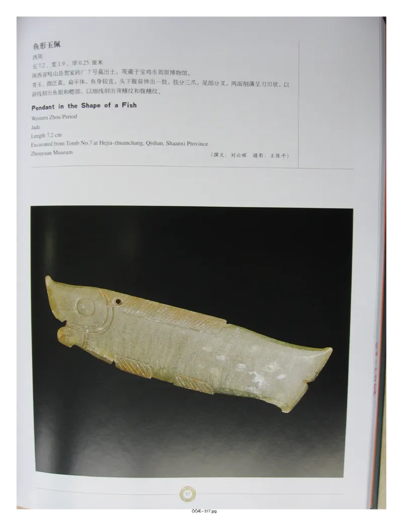 中国出土玉器全集(14)陕西_部分1_X018-玉石珠宝鉴定教程最新合集_5、玉石鉴定专题全套课程_玉石电子书_中国出土玉石全集