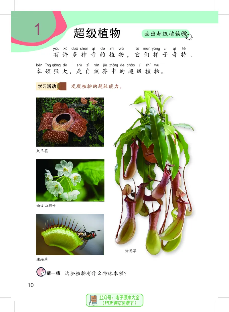 美术一下沪教版（2025春）_小学全网线上同款资料_2025春新增教材合集_小学美术（2025春新教材）