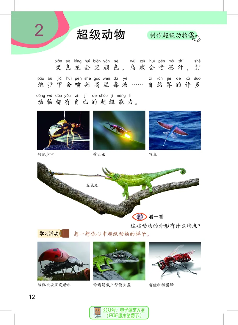 美术一下沪教版（2025春）_小学全网线上同款资料_2025春新增教材合集_小学美术（2025春新教材）