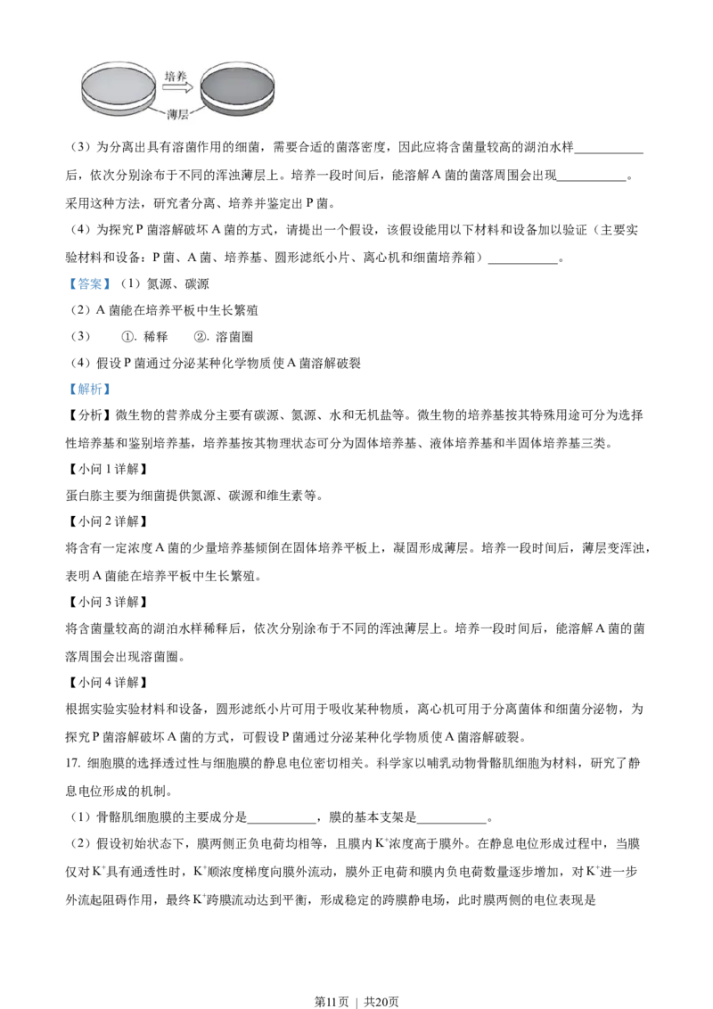 2023年高考生物试卷（北京）（解析卷）_生物历年高考真题_新&middot;Word版2008-2025&middot;高考生物真题_生物（按试卷类型分类）2008-2025_自主命题卷&middot;生物（2008-2025）_北京自主命题&middot;生物（2008-2025）