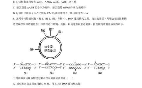 2023年高考生物试卷（新课标）（空白卷）_生物历年高考真题_新&middot;PDF版2008-2025&middot;高考生物真题_生物（按年份分类）2008-2025_2023&middot;高考生物真题