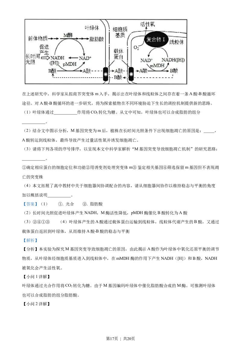 2023年高考生物试卷（北京）（解析卷）_生物历年高考真题_新&middot;Word版2008-2025&middot;高考生物真题_生物（按省份分类）2008-2025_2008-2025&middot;（北京）生物高考真题