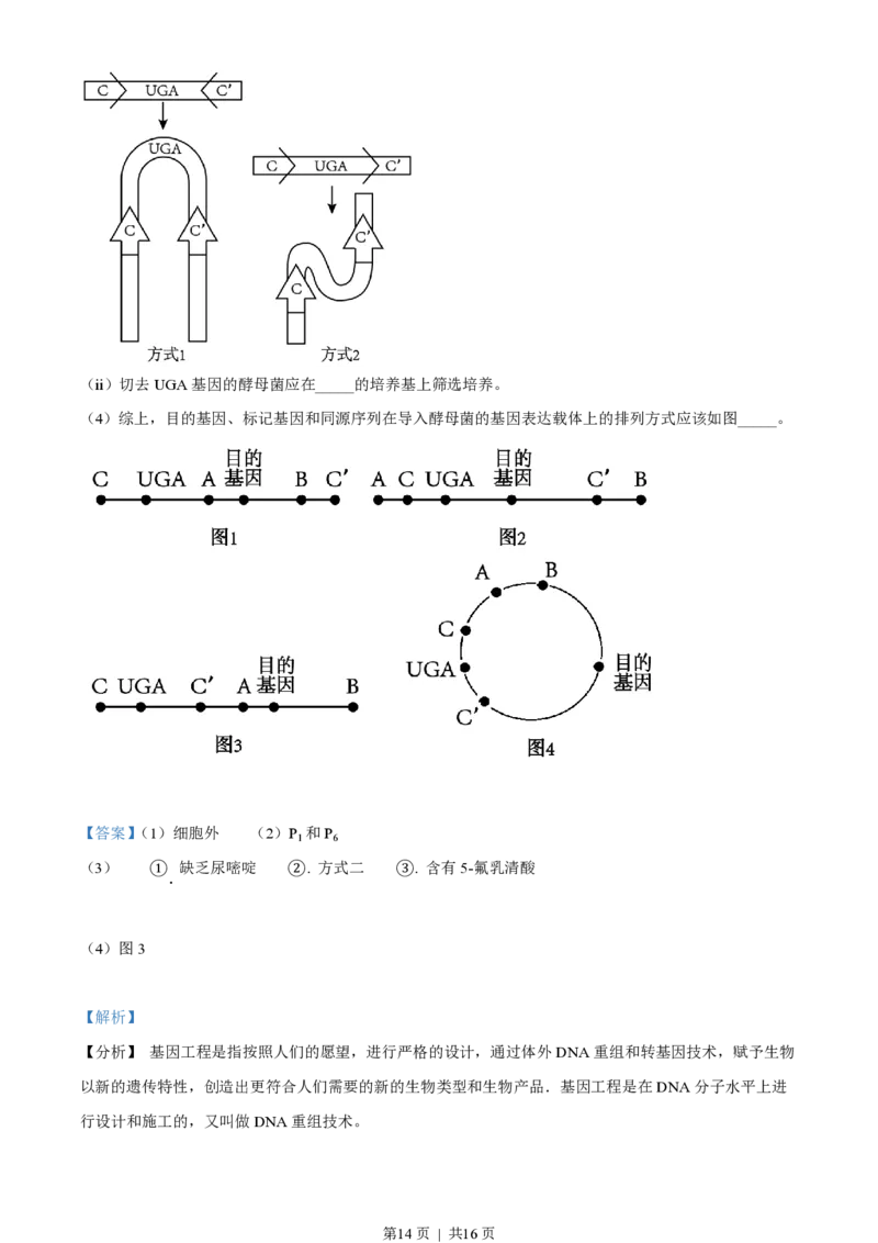 2023年高考生物试卷（天津）（解析卷）_生物历年高考真题_新&middot;PDF版2008-2025&middot;高考生物真题_生物（按年份分类）2008-2025_2023&middot;高考生物真题