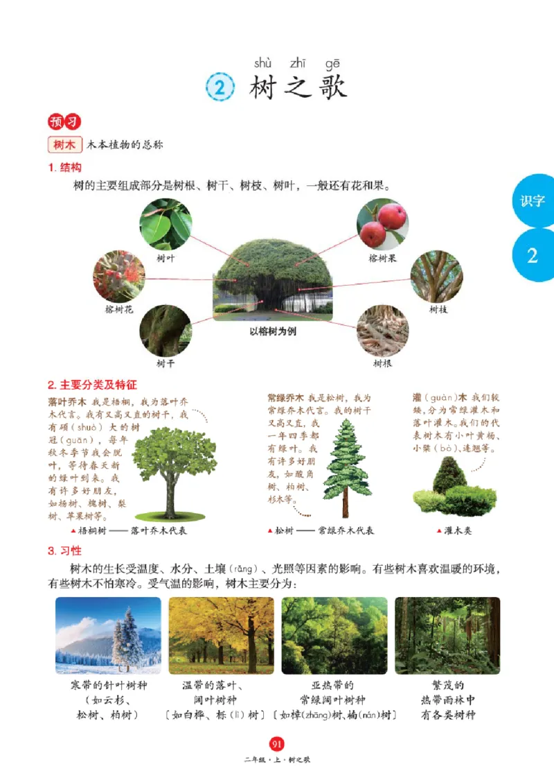 J1-2年级-六三版_二年级上下册资料_小学二年级学习资料-25年更新版_2-01、小学二年级语文上册_2-1-2、练习题、作业、试题、试卷_电子册类_《绘本课堂》语文2年级上册（RJ）