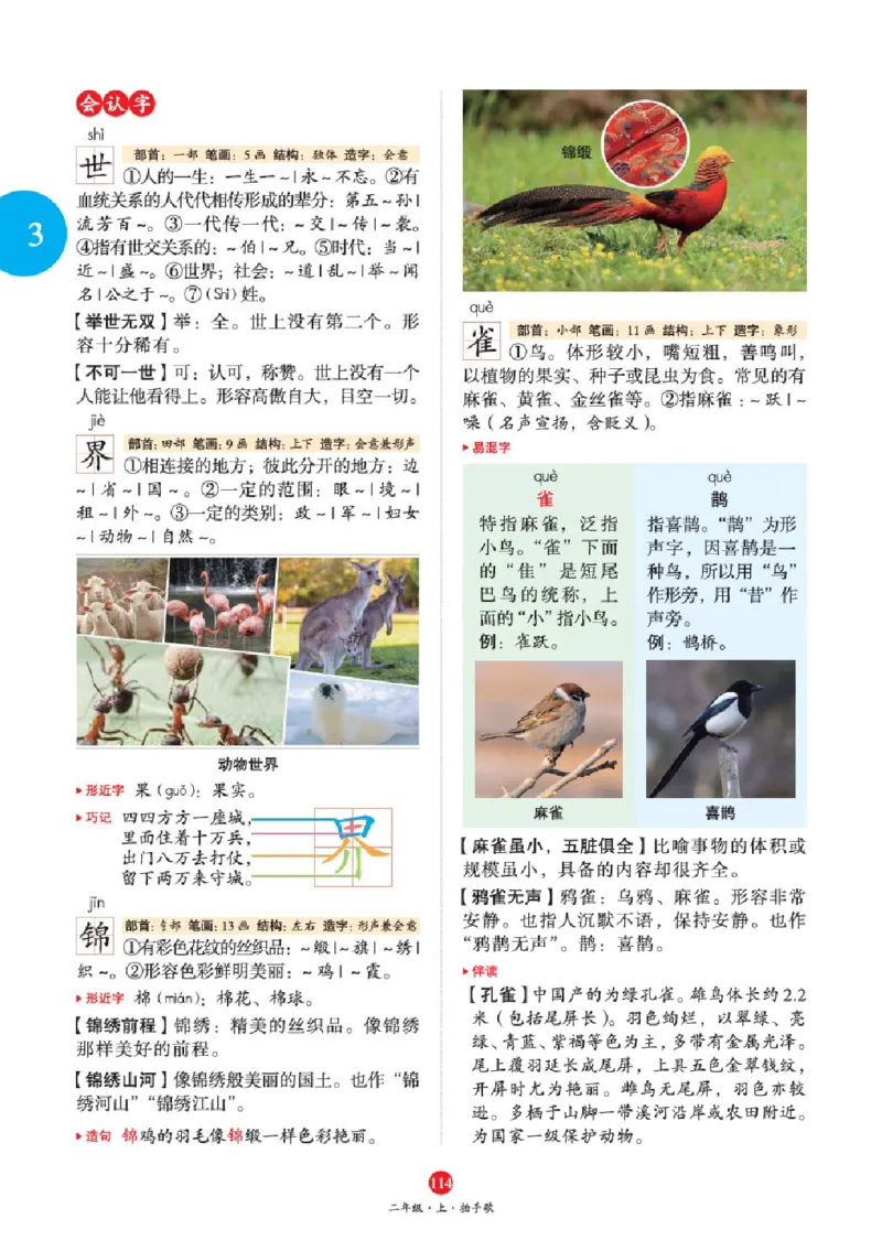 J1-2年级-六三版_二年级上下册资料_小学二年级学习资料-25年更新版_2-01、小学二年级语文上册_2-1-2、练习题、作业、试题、试卷_电子册类_《绘本课堂》语文2年级上册（RJ）