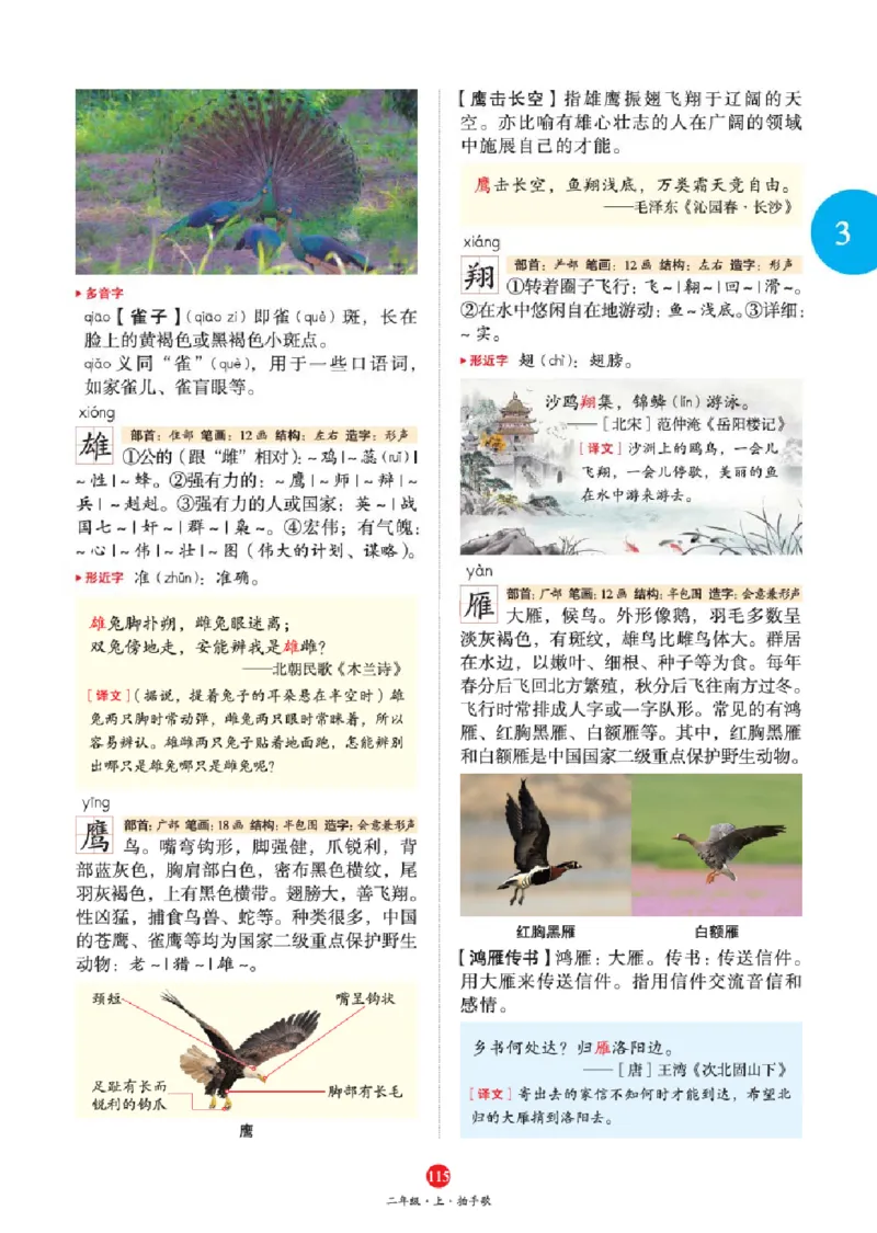 J1-2年级-六三版_二年级上下册资料_小学二年级学习资料-25年更新版_2-01、小学二年级语文上册_2-1-2、练习题、作业、试题、试卷_电子册类_《绘本课堂》语文2年级上册（RJ）