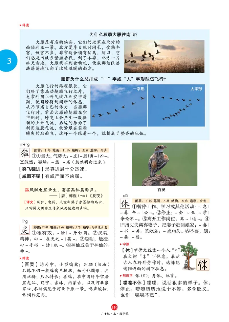 J1-2年级-六三版_二年级上下册资料_小学二年级学习资料-25年更新版_2-01、小学二年级语文上册_2-1-2、练习题、作业、试题、试卷_电子册类_《绘本课堂》语文2年级上册（RJ）