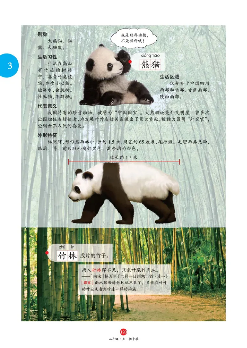 J1-2年级-六三版_二年级上下册资料_小学二年级学习资料-25年更新版_2-01、小学二年级语文上册_2-1-2、练习题、作业、试题、试卷_电子册类_《绘本课堂》语文2年级上册（RJ）