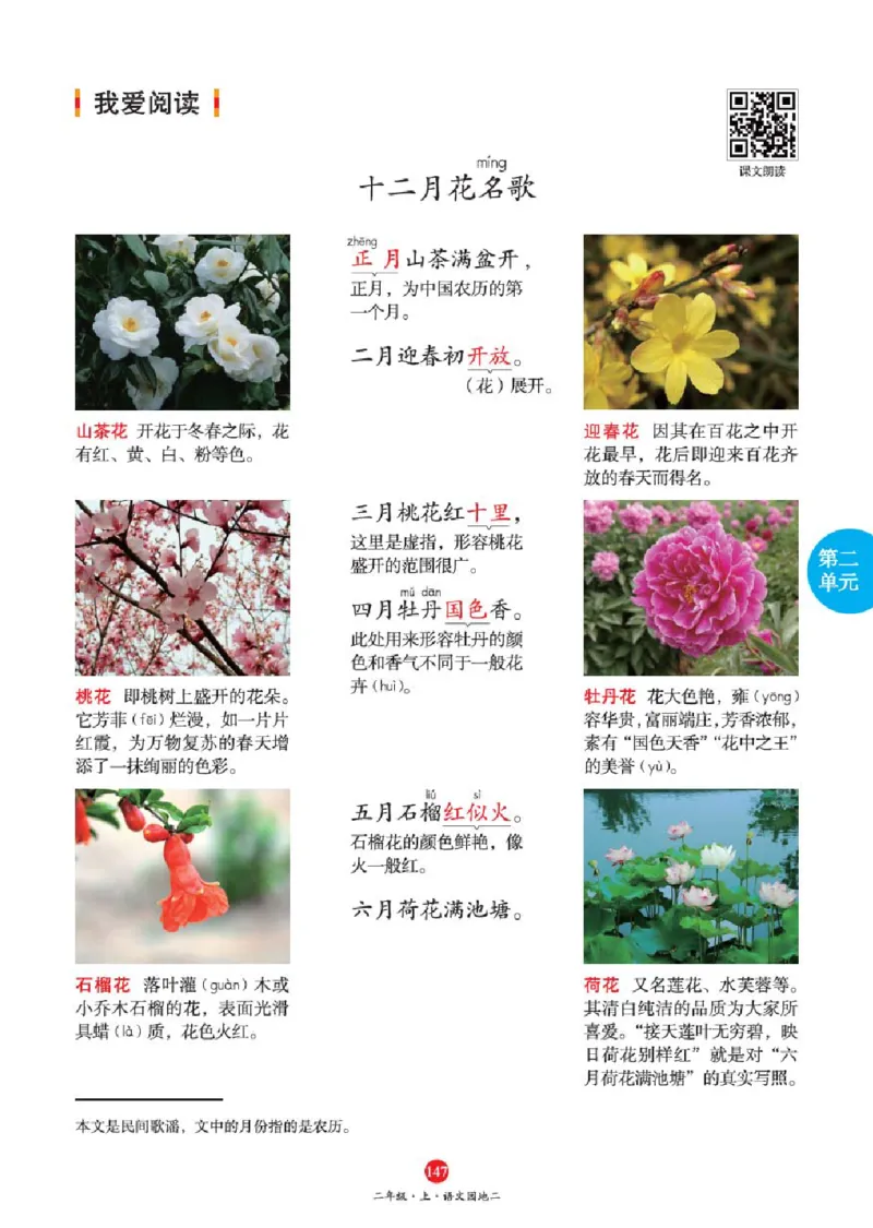 J1-2年级-六三版_二年级上下册资料_小学二年级学习资料-25年更新版_2-01、小学二年级语文上册_2-1-2、练习题、作业、试题、试卷_电子册类_《绘本课堂》语文2年级上册（RJ）