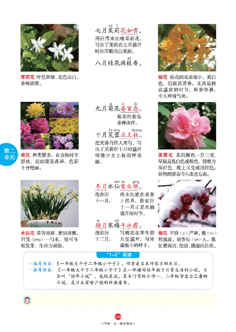 J1-2年级-六三版_二年级上下册资料_小学二年级学习资料-25年更新版_2-01、小学二年级语文上册_2-1-2、练习题、作业、试题、试卷_电子册类_《绘本课堂》语文2年级上册（RJ）