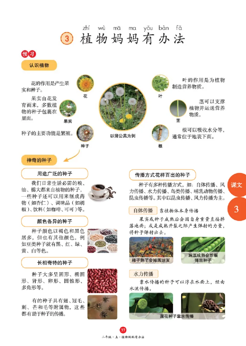 J1-2年级-六三版_二年级上下册资料_小学二年级学习资料-25年更新版_2-01、小学二年级语文上册_2-1-2、练习题、作业、试题、试卷_电子册类_《绘本课堂》语文2年级上册（RJ）