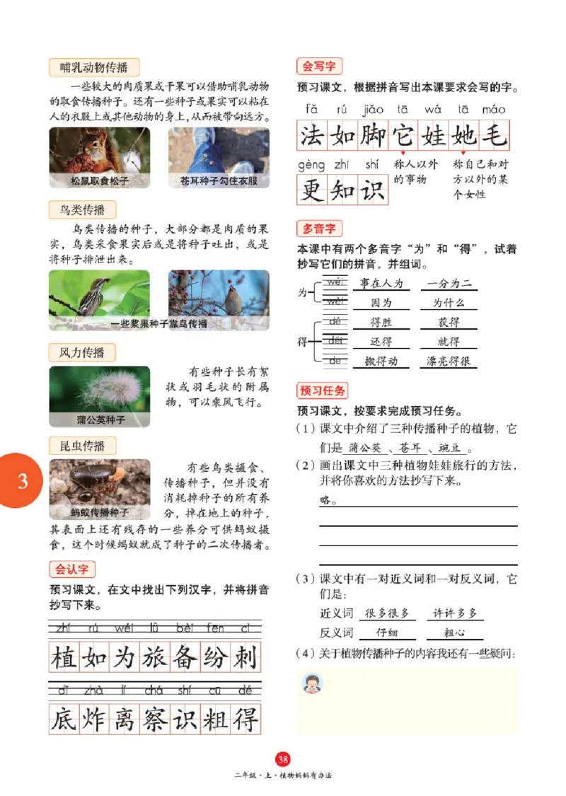 J1-2年级-六三版_二年级上下册资料_小学二年级学习资料-25年更新版_2-01、小学二年级语文上册_2-1-2、练习题、作业、试题、试卷_电子册类_《绘本课堂》语文2年级上册（RJ）