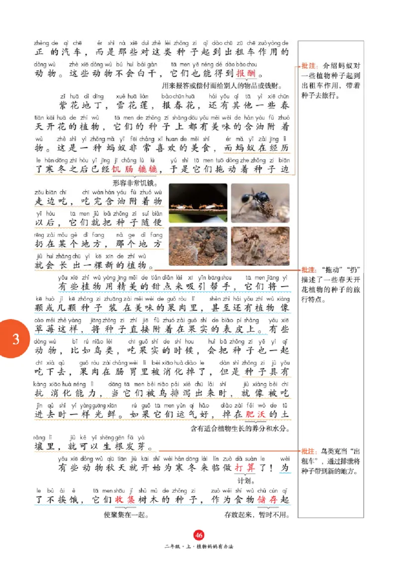 J1-2年级-六三版_二年级上下册资料_小学二年级学习资料-25年更新版_2-01、小学二年级语文上册_2-1-2、练习题、作业、试题、试卷_电子册类_《绘本课堂》语文2年级上册（RJ）