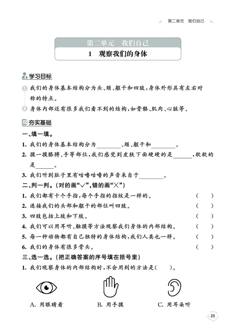 《七彩同步训练》科学2年级下册（教科版）_二年级上下册资料_小学二年级学习资料-25年更新版_2-10、小学二年级科学下册_教科版_电子册类