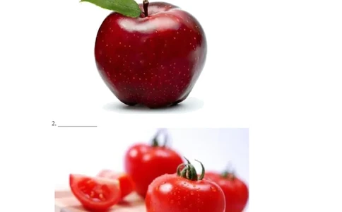 Module3Unit2Dotheylikeapples？习题2_二年级上下册资料_二年级语数英上下册学习资料_3-7-5、小学二年级英语上册_外研版一起点_2、同步练习_Module3