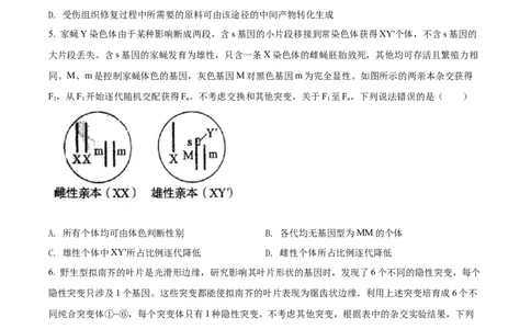 2022年高考生物试卷（山东）（空白卷）_生物历年高考真题_新&middot;Word版2008-2025&middot;高考生物真题_生物（按省份分类）2008-2025_2008-2025&middot;（山东）生物高考真题