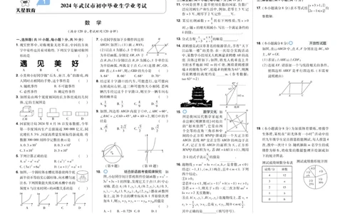 2025《中考数学45套》武汉_45套中招_2025《中考数学45套》武汉