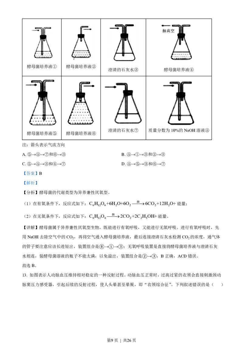 2022年高考生物试卷（重庆）（解析卷）_生物历年高考真题_新&middot;PDF版2008-2025&middot;高考生物真题_生物（按省份分类）2008-2025_2012-2024&middot;（重庆）生物高考真题