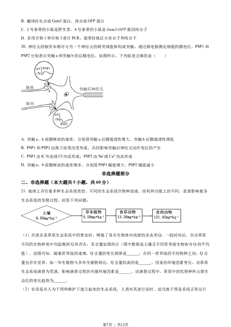 2023年高考生物试卷（浙江）（6月）（空白卷）_生物历年高考真题_新&middot;Word版2008-2025&middot;高考生物真题_生物（按省份分类）2008-2025_2008-2025&middot;（浙江）生物高考真题