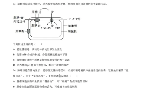 2023年高考生物试卷（浙江）（6月）（空白卷）_生物历年高考真题_新&middot;Word版2008-2025&middot;高考生物真题_生物（按省份分类）2008-2025_2008-2025&middot;（浙江）生物高考真题