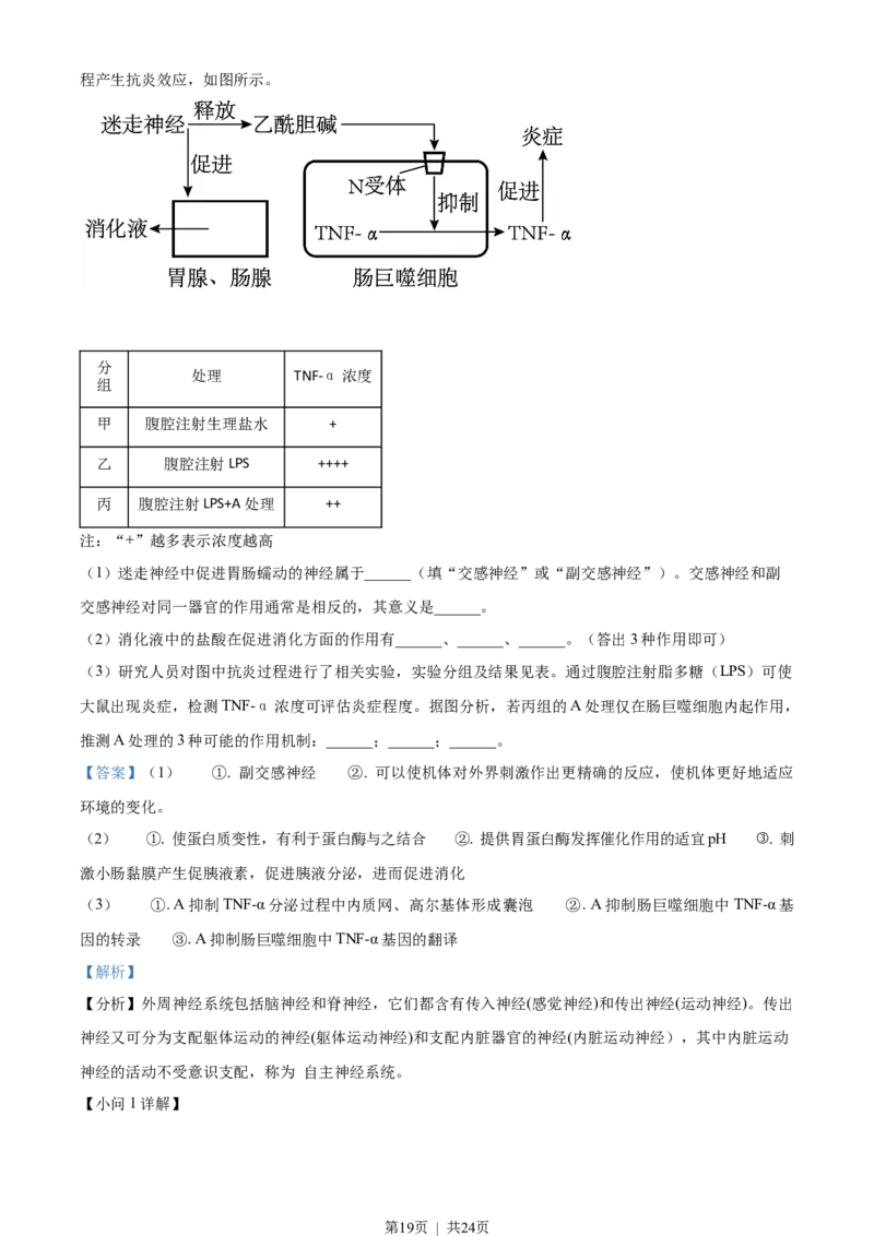 2022年高考生物试卷（山东）（解析卷）_生物历年高考真题_新&middot;Word版2008-2025&middot;高考生物真题_生物（按省份分类）2008-2025_2008-2025&middot;（山东）生物高考真题