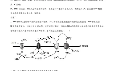 2022年高考生物试卷（山东）（解析卷）_生物历年高考真题_新&middot;Word版2008-2025&middot;高考生物真题_生物（按省份分类）2008-2025_2008-2025&middot;（山东）生物高考真题